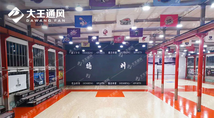 Playing better under the super fan - Desheng Sports