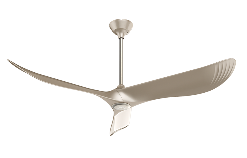 WS-Y.FANS
